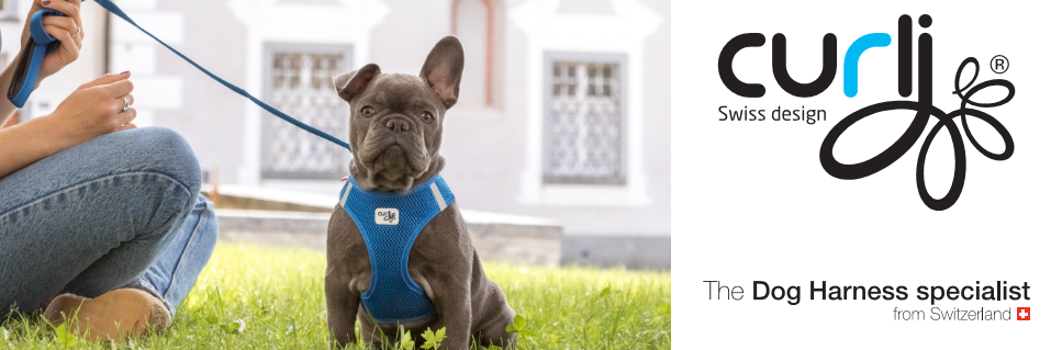Curli Dogharness Banner Frenchie Page 01 Snapshot 01