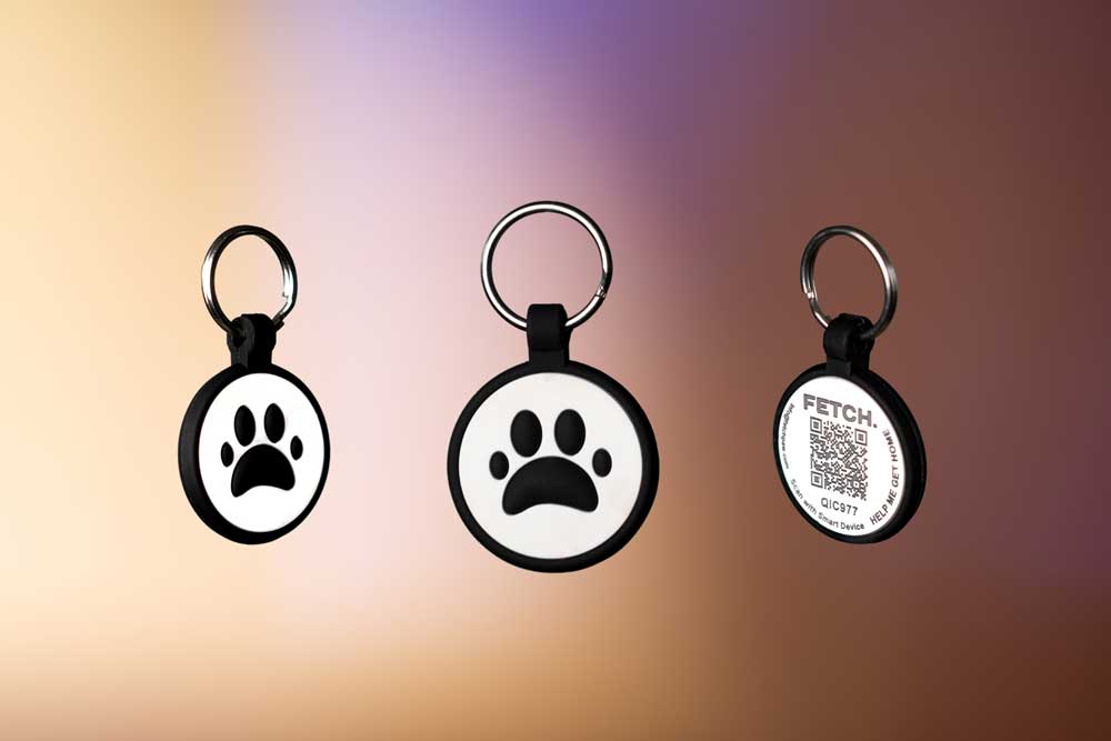 Small Dog Adoptions in partnership with FETCH