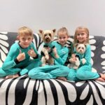 Yorkshire Terrier Aero Adopted from Small Dog Adoptions
