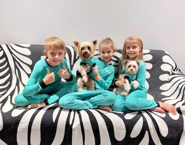 Yorkshire Terrier Aero Adopted from Small Dog Adoptions