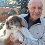 Our Adoption Vetting Process | Small Dog Adoptions & Rehoming 10 adoption success story buttercup