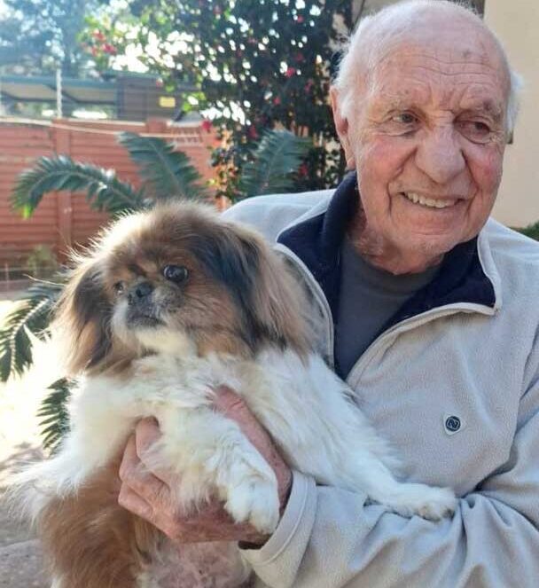 adoption success story buttercup